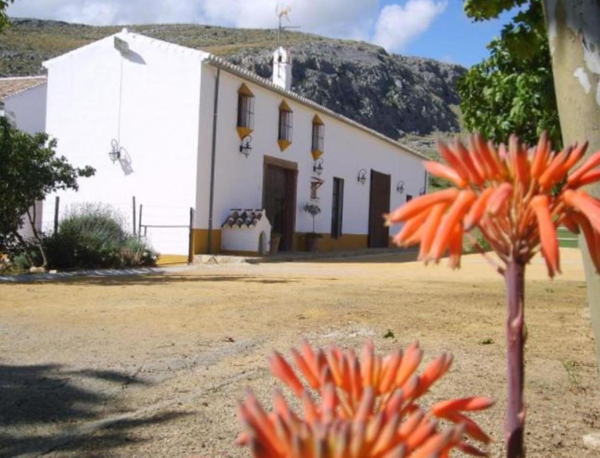 Complejo Cortijo Rural El Puntal Villa Teba Екстериор снимка